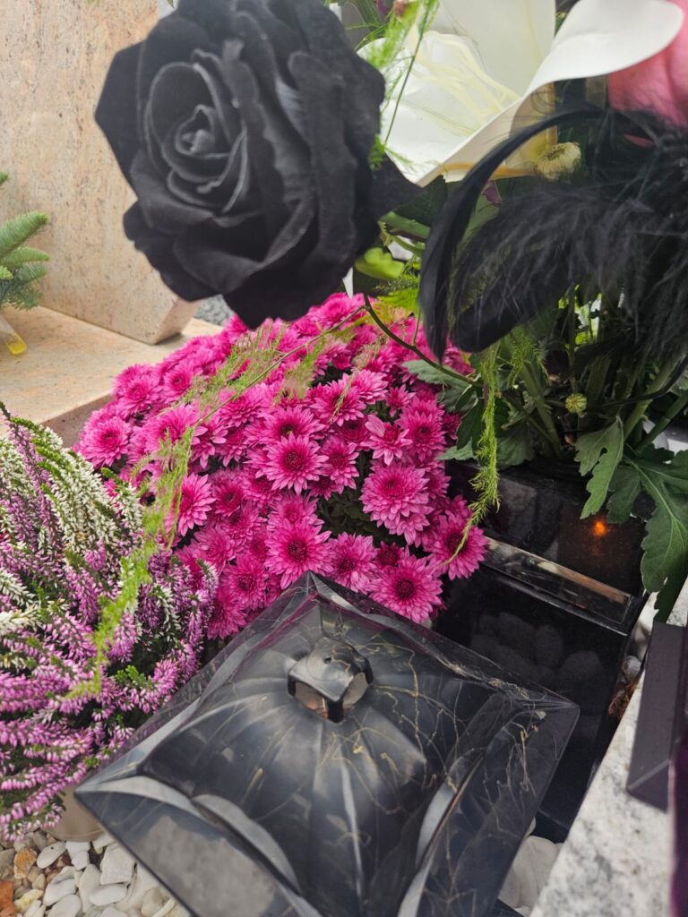 a92d63e6-2caa-4d86-8fe2-ebbda2aa8a53